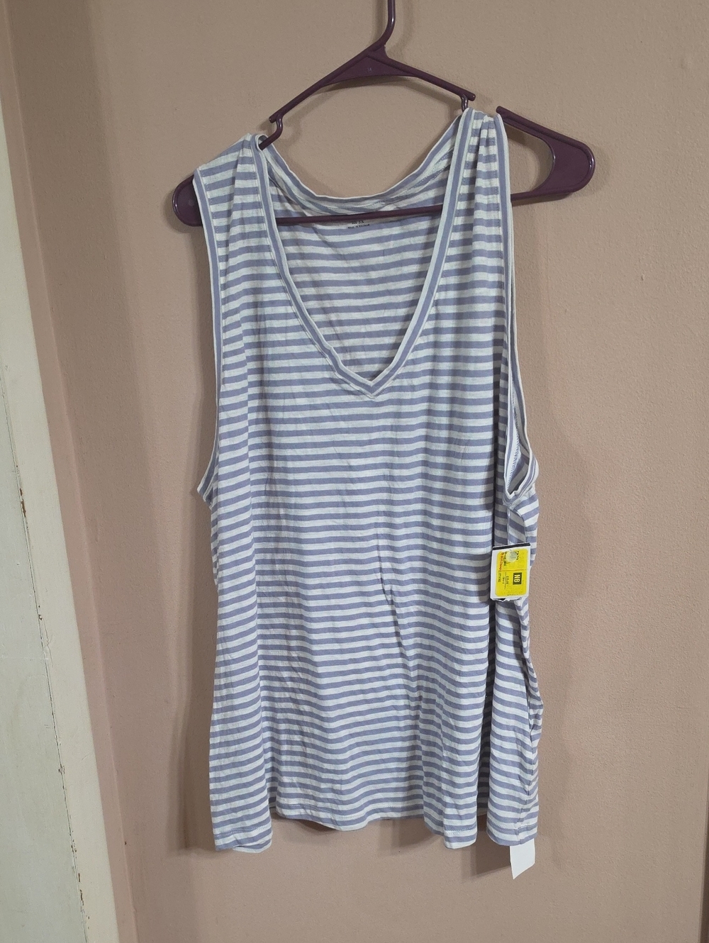 Madewell White & Light Blue Striped V-Neck Tank